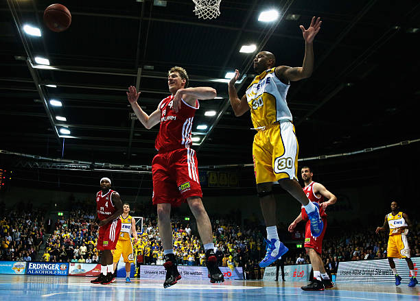 的正式荣誉 的正式荣誉